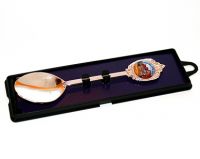 Birthplace souvenir spoon